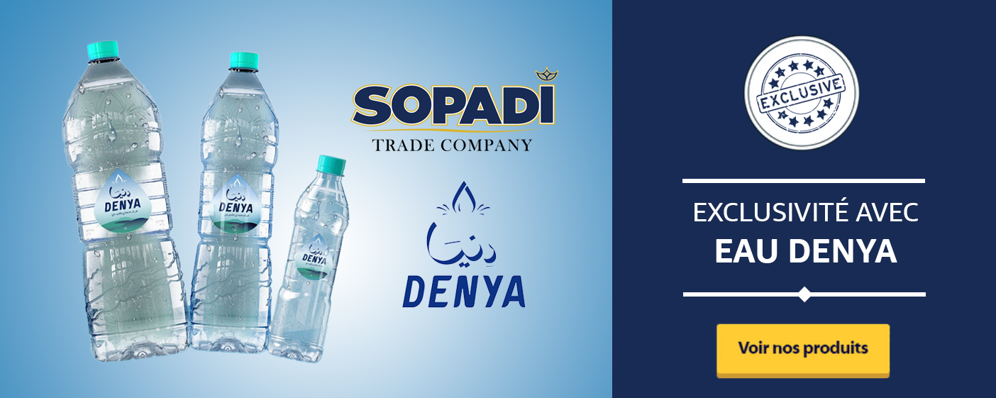 sopadi sfax tunisia